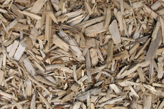 biomass boilers Rimac